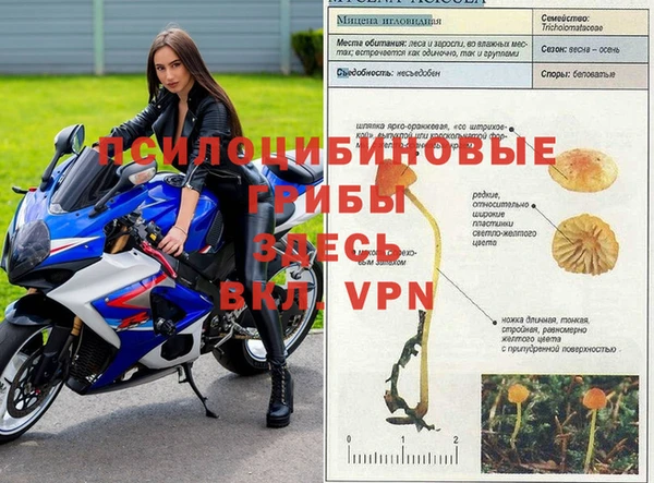 таблы Елизово