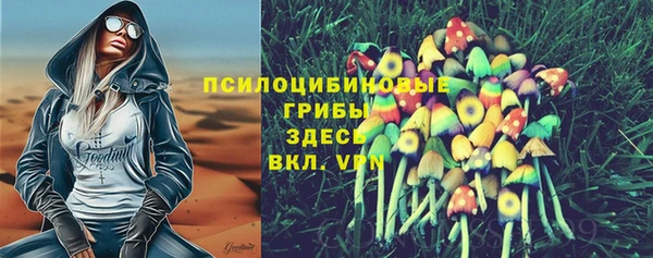 прущий лед Елабуга