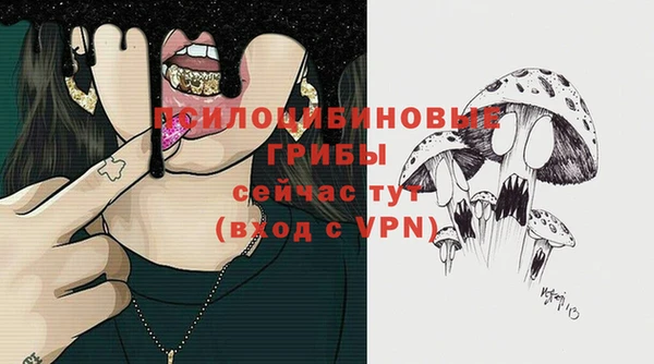 соль курить ск Ельня