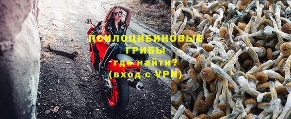 соль курить ск Ельня