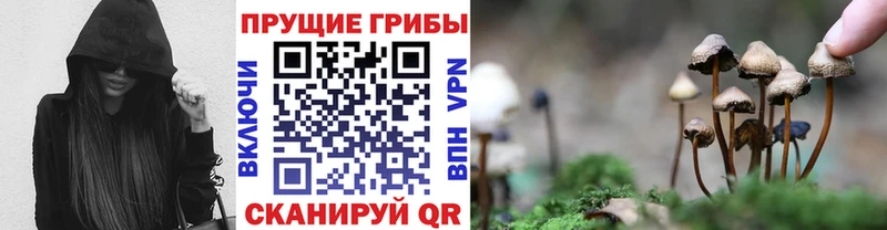 Псилоцибиновые грибы прущие грибы  Купить  Кувшиново 