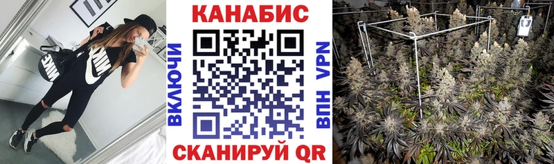 Купить  Кувшиново  Конопля OG Kush 